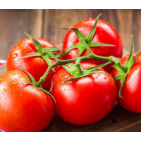 现摘现发新鲜西红柿大番茄水果自然熟沙瓤生吃洋柿子
