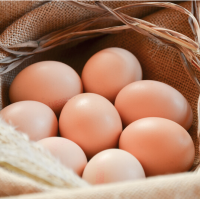 有机初产柴鸡蛋10枚/盒 鲜鸡蛋有机认证